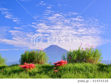 雁堤からの秋の風景-223417 41454316