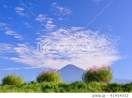 雁堤からの秋の風景-223414 雁堤からの秋の風景-223414 41454332