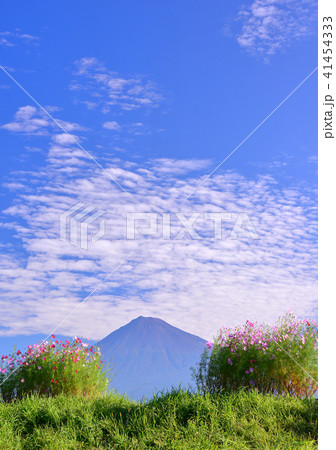 雁堤からの秋の風景-223415 41454333