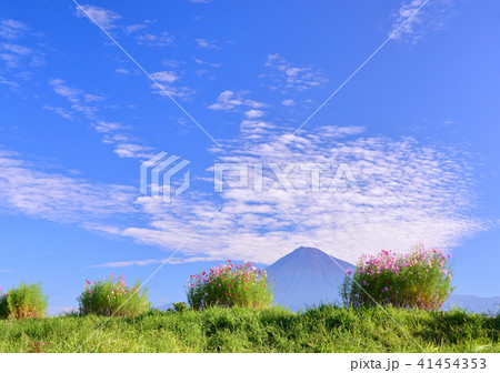 雁堤からの秋の風景-223416 雁堤からの秋の風景-223416 41454353
