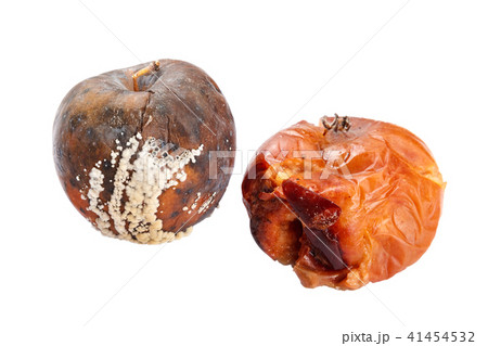 Fruits of apple with rot on white background Fruits of apple with rot on white background 41454532