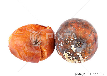 Fruits of apple with rot on white background 41454537
