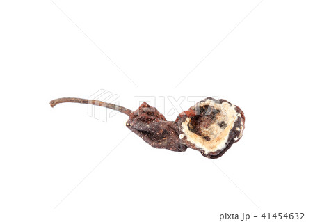 Rotten pear isolated on a white background 41454632