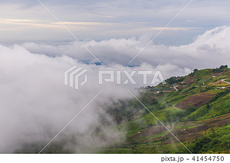 mountains under mist in the morning at Phu TubBerk 41454750