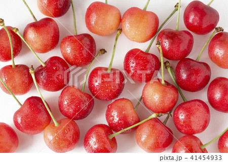 さくらんぼ　佐藤錦 41454933