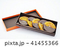 チョコ掛けドライオレンジ 41455366
