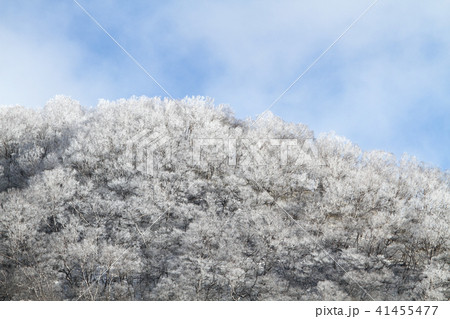 雪山 41455477
