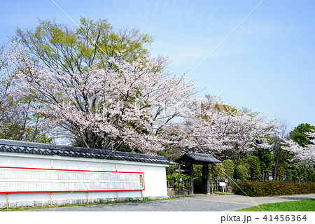 関宿城博物館 41456364