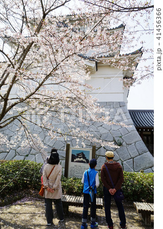 関宿城博物館 41456366