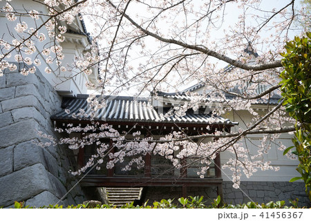 関宿城博物館 関宿城博物館 41456367