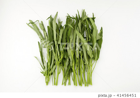 空心菜(クウシンサイ) 空心菜(クウシンサイ) 41456451