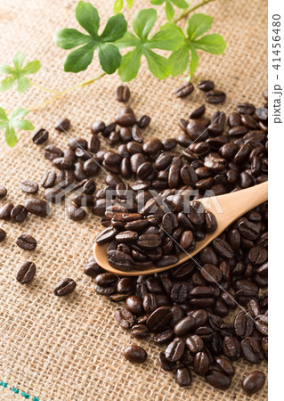 コーヒー豆 41456480