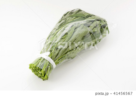 空心菜(クウシンサイ)袋入り 空心菜(クウシンサイ)袋入り 41456567