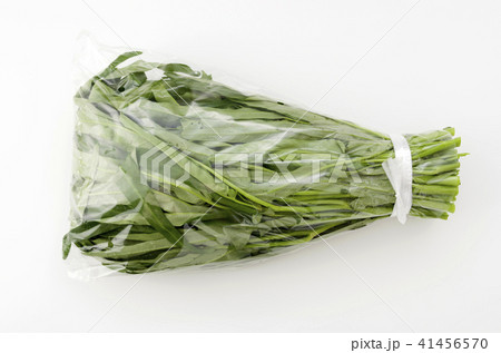 空心菜（クウシンサイ）袋入り 41456570