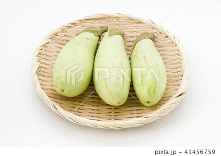 青茄子 青茄子 41456759