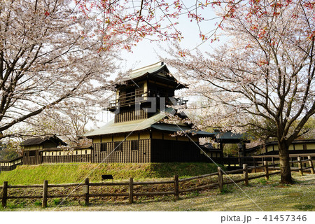 逆井城址公園 逆井城址公園 41457346