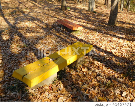 冬の多摩平の森公園の落ち葉とカラフルなベンチ 41457471