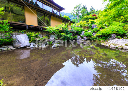 新緑　環境芸術の森　【佐賀県唐津市】 41458102