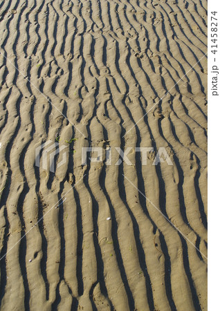 父母ヶ浜 41458274