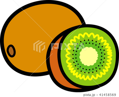 キウイフルーツ キウイフルーツ 41458569