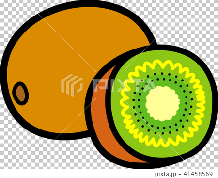 キウイフルーツ キウイフルーツ 41458569