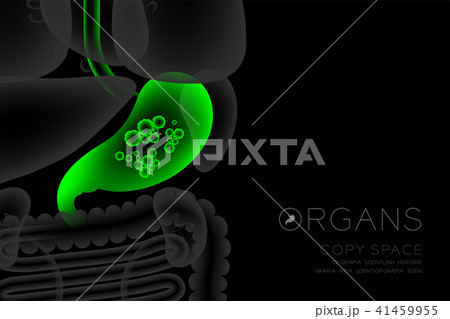 Human Organs X-ray set, Stomach infection concept 41459955