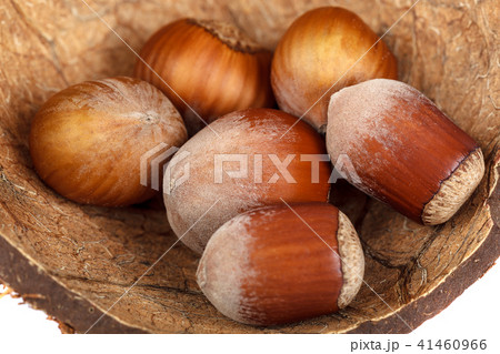 Coconut and hazelnut isolated on white background 41460966