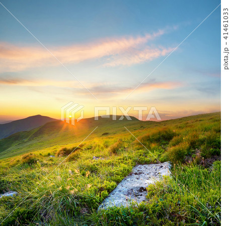 Mountain landscape at the summer time 41461033