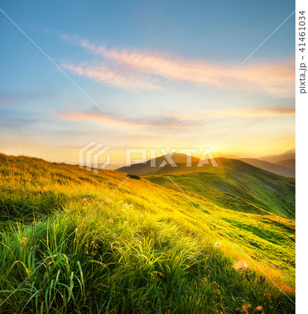 Mountain landscape at the summer time 41461034