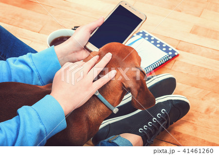 Girl with a dog, a mobile phone and stationery. Girl with a dog, a mobile phone and stationery. 41461260