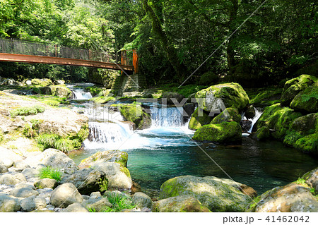 菊池渓谷(熊本県) 菊池渓谷(熊本県) 41462042