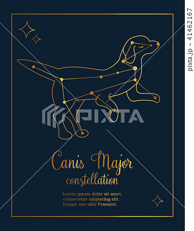 Don North Star Tattoo  Canis Major constellation aka Poochie