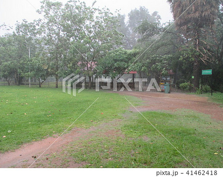 カンボジア首都プノンペン　スコール 41462418