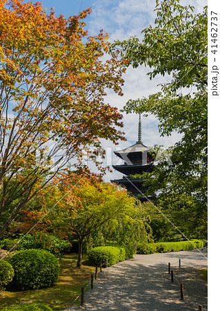 Toji temple  41462737
