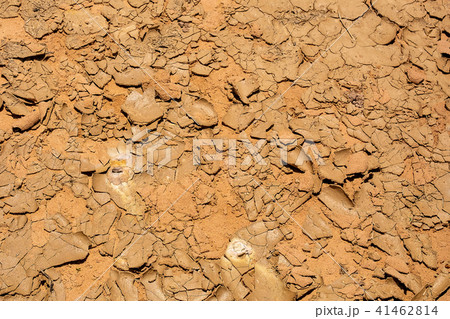 Cracked Earth Texture Background. 41462814