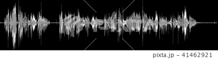 音声 41462921