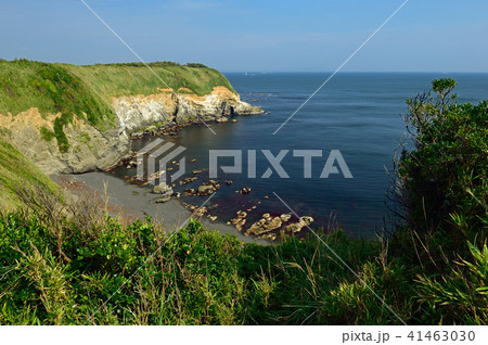 神奈川県三浦市 城ケ島 ウミウ展望台 神奈川県三浦市 城ケ島 ウミウ展望台 41463030