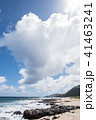 ハワイのビーチ 41463241