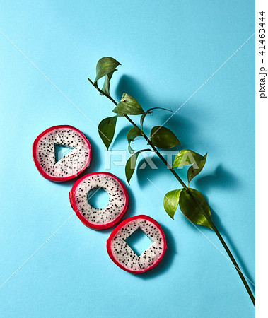 Composition of round pieces of pitaya and green branches on a blue background Composition of round pieces of pitaya and green branches on a blue background 41463444