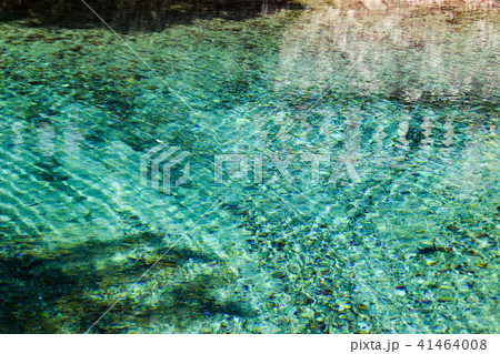 別府弁天池 水面 別府弁天池 水面 41464008