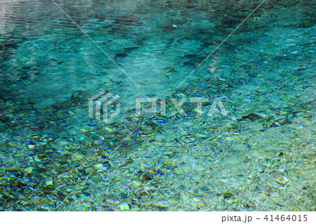 別府弁天池 水面 別府弁天池 水面 41464015