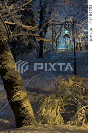 Night winter Ivan Franko park in Lviv, Ukraine Night winter Ivan Franko park in Lviv, Ukraine 41464703