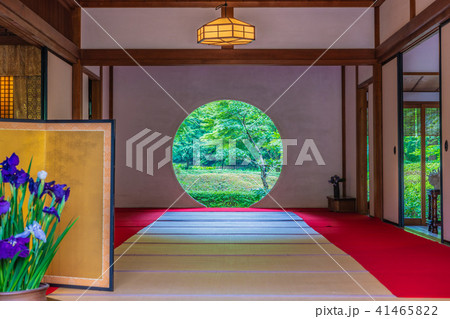 明月院 明月院 41465822