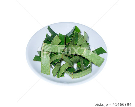 Soursop leaves on white background Soursop leaves on white background 41466394