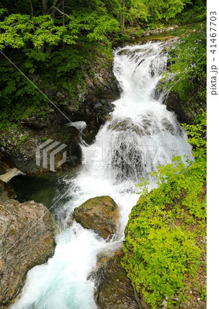 初夏の三階滝・伊達市大滝区 41467703