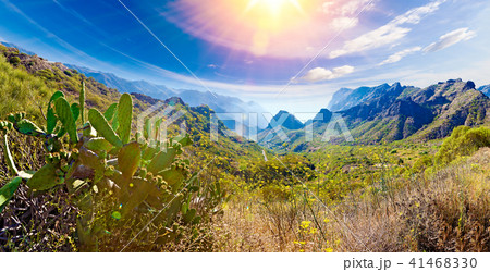 Scenery valley in Spain.Nature landscape 41468330