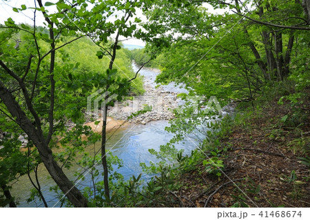 長流川の流れ 長流川の流れ 41468674