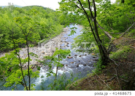 長流川の流れ 41468675