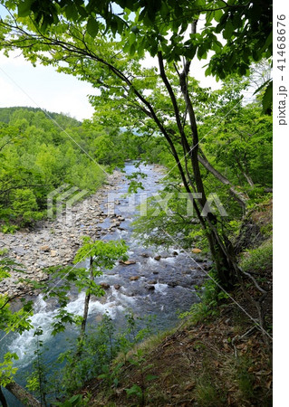 長流川の流れ 長流川の流れ 41468676