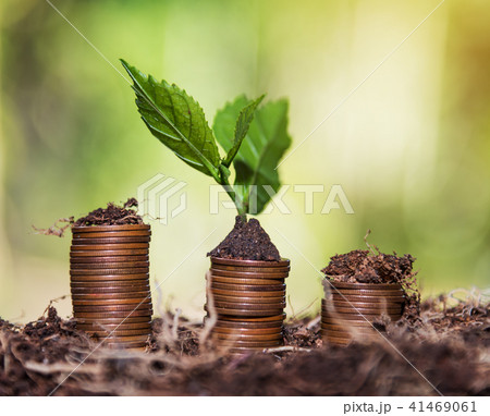 Save money and account banking growth finance Save money and account banking growth finance 41469061